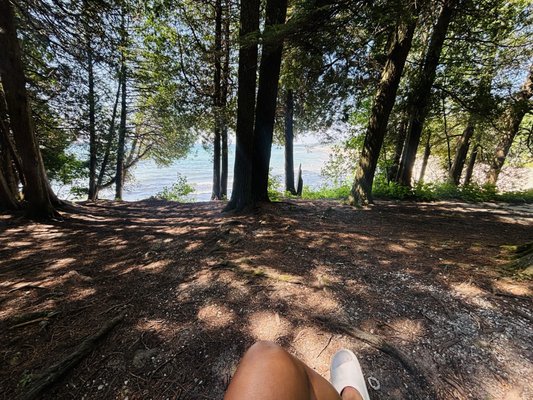 Whitefish Dunes State Park by null