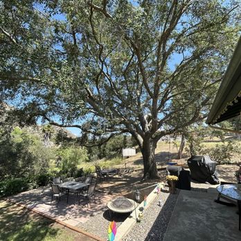 The Treekeeper - Tree Services Near Me The Treekeeper - Tree Services Near Me