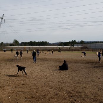 Remy's Dog park - Large dog area - Dog Parks Near Me - Birmingham, Alabama Remy's Dog park - Large dog area - Dog Parks Near Me - Birmingham, Alabama