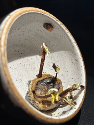 Schwa Restaurant by null