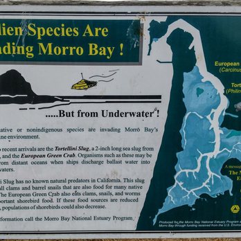 Morro Bay Boat Launch Facility - Alien Species Warning Sign - Boating Near Me - Morro Bay, California Morro Bay Boat Launch Facility - Alien Species Warning Sign - Boating Near Me - Morro Bay, California