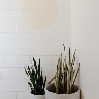 The Mill - undefined - Coffee & Tea Near Me - Sacramento, California