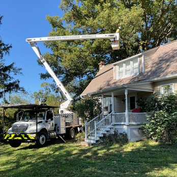 Nicholson Professional Arborists - Tree Services Near Me - Cockeysville, Maryland Nicholson Professional Arborists - Tree Services Near Me - Cockeysville, Maryland