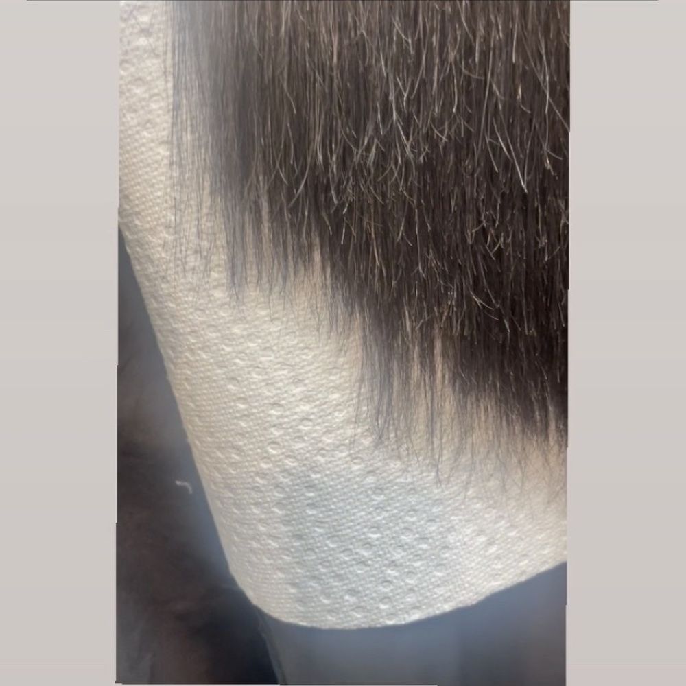 Root and Mane - Hair Salons Near Me - Silver Spring, Maryland Root and Mane - Hair Salons Near Me - Silver Spring, Maryland