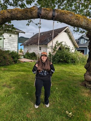 Miller Tree Inn by null