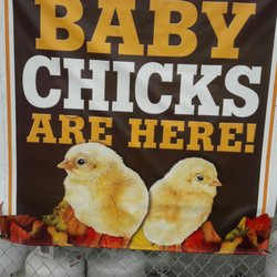 Tractor Supply