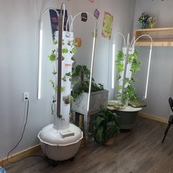 BeBe's Cupcakery - Inside vegetable garden