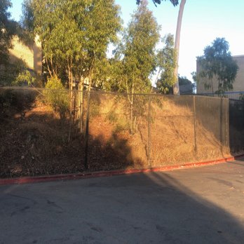 San Diego High School - November 2019-August 2021 un-manicured trees and hillside - Middle Schools & High Schools Near Me - San Diego, California San Diego High School - November 2019-August 2021 un-manicured trees and hillside - Middle Schools & High Schools Near Me - San Diego, California