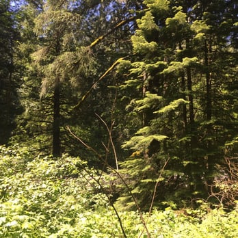 Twin Falls Trailhead - Hiking Near Me - North Bend, Washington Twin Falls Trailhead - Hiking Near Me - North Bend, Washington