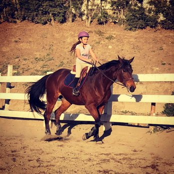 Vogel Equine - Horseback Riding Near Me - San Juan Capistrano, California Vogel Equine - Horseback Riding Near Me - San Juan Capistrano, California