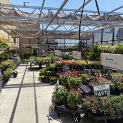 Walmart Garden Center - Still a good selection