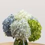 Photo of Stems Florist
