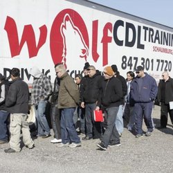 Wolf Driving School