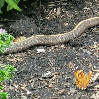 The Oregon Garden - Nature in the garden. - Botanical Gardens Near Me - Silverton, Oregon