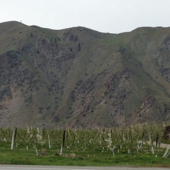 Pybus Public Market - Apple farms on my way to Twisp - Public Markets Near Me - Wenatchee, Washington Pybus Public Market - Apple farms on my way to Twisp - Public Markets Near Me - Wenatchee, Washington