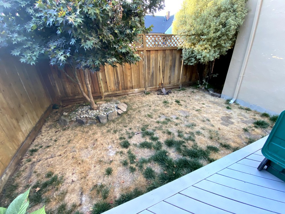 ARTIFICIAL TURF SUPPLY Updated May 2024 68 Photos & 15 Reviews