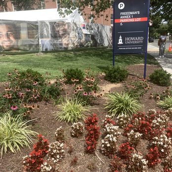 Howard University - Campus Landscaping - Colleges & Universities Near Me - Washington, DC, District of Columbia Howard University - Campus Landscaping - Colleges & Universities Near Me - Washington, DC, District of Columbia