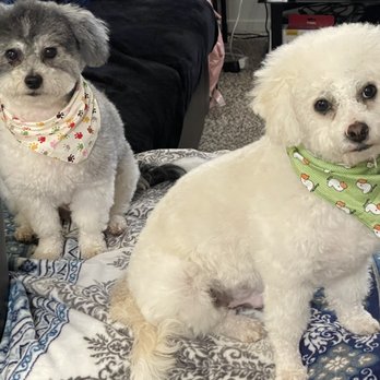 Paws R Us - Pet Groomers Near Me - Fresno, California Paws R Us - Pet Groomers Near Me - Fresno, California