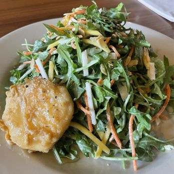 bellagreen - Honey-Fried Goat Cheese & Arugula Salad - New American Near Me - Houston, Texas