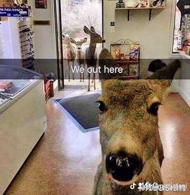 EDWARD R MURROW HIGH SCHOOL - Updated March 2026 - 12 Photos & 20 ...