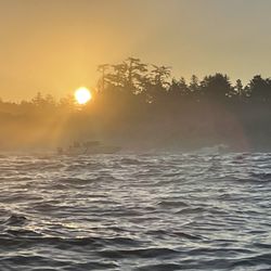 Maximum Coastal Adventures