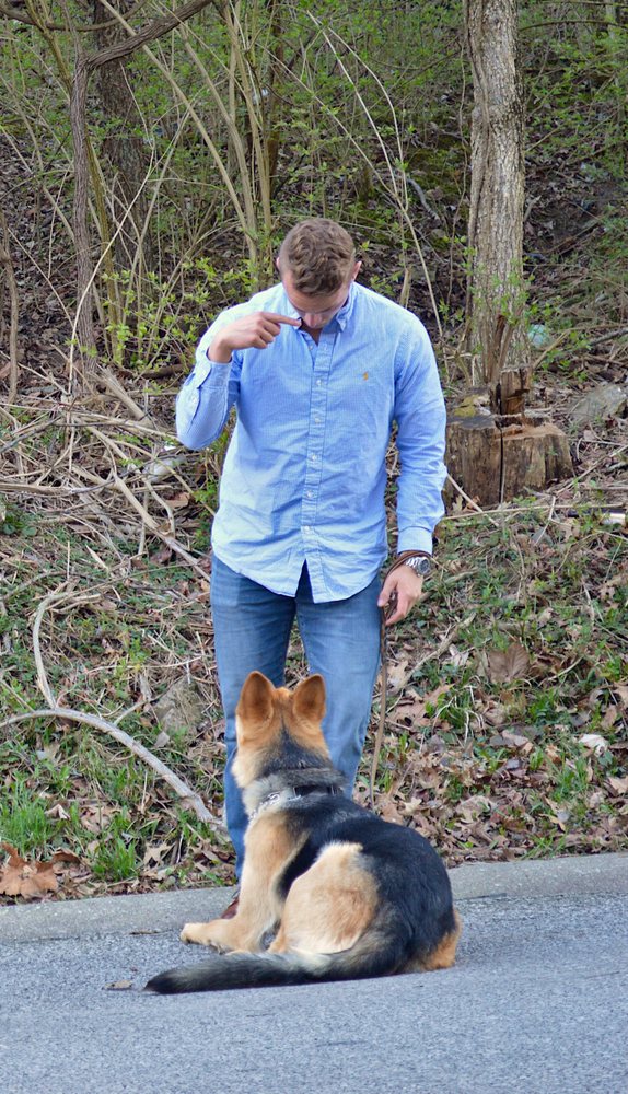 Perfected Canine Obedience - pet boarding facility in Cincinnati, OH