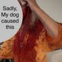 Photo of Eau Gallie Veterinary Hospital