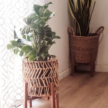 Natural Head Spa - Plants all over the room in cute natural containers. - Waxing Near Me - Sacramento, California Natural Head Spa - Plants all over the room in cute natural containers. - Waxing Near Me - Sacramento, California