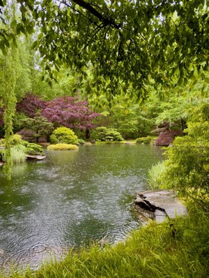 Gibbs Gardens by null