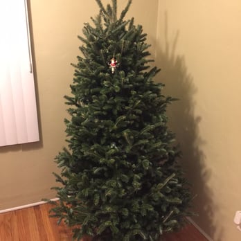 Todd's Christmas Trees - Our perfect tree!!! - Christmas Trees Near Me - Long Beach, California