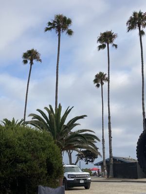 San Elijo State Beach by null