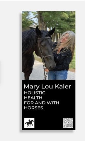 Zen Equitation - equestrian in New York, NY