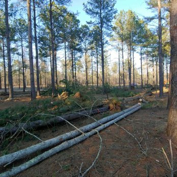 LumberJack Tree & Crane Experts - Tree Services Near Me LumberJack Tree & Crane Experts - Tree Services Near Me