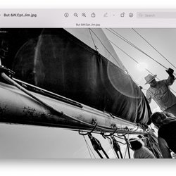 Shamrock Sailing Adventures