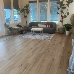 Sparrow Dental - Waiting room ; nice clean .