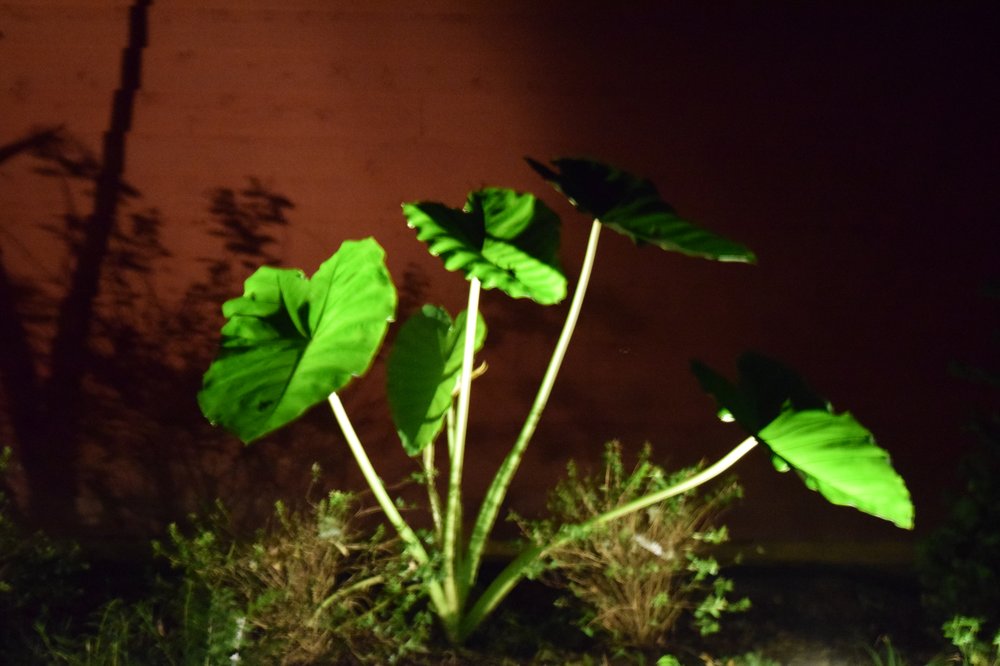 Slide of High Tech Handyman