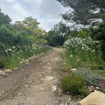 Conejo Valley Botanic Garden - Botanical Gardens Near Me - Thousand Oaks, California
