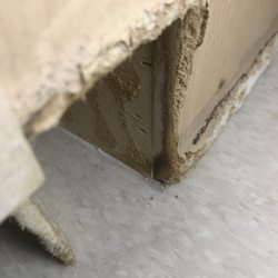 Senior Suites of West Humboldt Park - MOLD