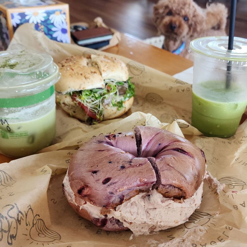Fin's Bagels - Blueberry bagel with seasonal fruit cream cheese (cranberry, blood orange, rosemary) - Bagels Near Me - Honolulu, Hawaii Fin's Bagels - Blueberry bagel with seasonal fruit cream cheese (cranberry, blood orange, rosemary) - Bagels Near Me - Honolulu, Hawaii