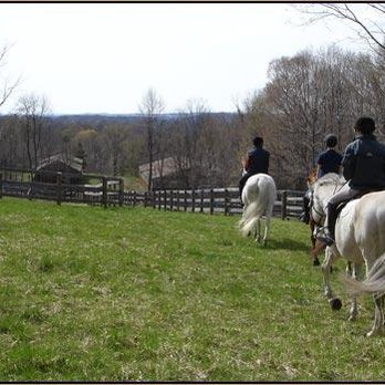 Run Free Farm - Horseback Riding Near Me - Brewster, New York Run Free Farm - Horseback Riding Near Me - Brewster, New York