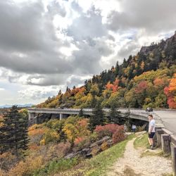 Linn Cove Viaduct - Instagram: @telephonesmoothie