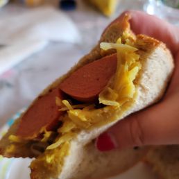 a hand holding a hot dog