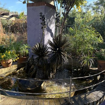 Tucson Botanical Gardens - Water feature - Botanical Gardens Near Me - Tucson, Arizona Tucson Botanical Gardens - Water feature - Botanical Gardens Near Me - Tucson, Arizona
