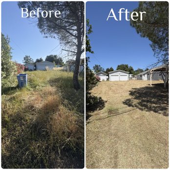 The Grass Guy - Landscaping Near Me The Grass Guy - Landscaping Near Me