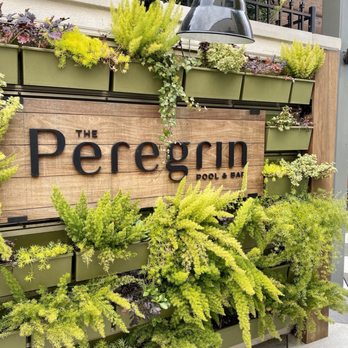 Peregrin - Bars Near Me - Savannah, Georgia Peregrin - Bars Near Me - Savannah, Georgia