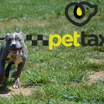 Pet Taxxi - Pet Transportation Near Me Pet Taxxi - Pet Transportation Near Me