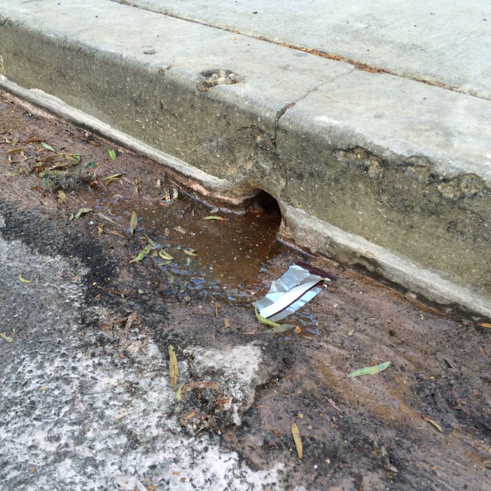 Lot 613 - Photos of the disgusting environmentally hazardous paint spill running down into city storm drains the morning after an event... BOYCOTT. - Venues & Event Spaces Near Me - Los Angeles, California
