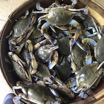 Archar Seafood - Bushel of live Blue Crabs - Seafood Markets Near Me - Somerset, New Jersey Archar Seafood - Bushel of live Blue Crabs - Seafood Markets Near Me - Somerset, New Jersey