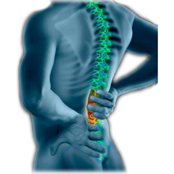 Wren Chiropractic Center