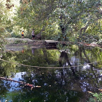 Riley's Farm - Small pond on the property - Fruits & Veggies Near Me - Oak Glen, California
